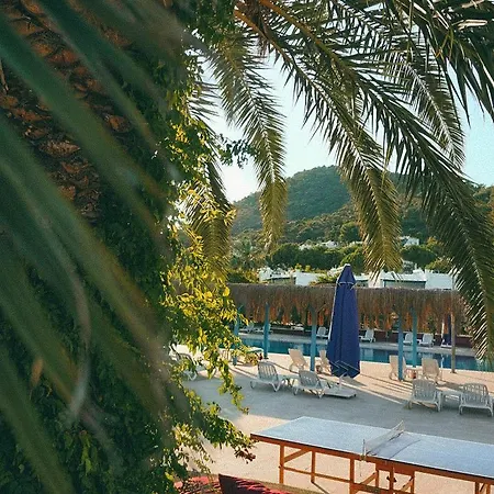 Club Afrodit Tatil Koeyue Resort Altinoluk